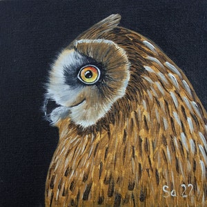 Uil oehoe olieverfschilderij origineel handgeschilderd olieverfschilderij karton schilderij vogel zwarte achtergrond nachtvogel roofvogel nacht miniatuur nr. 103