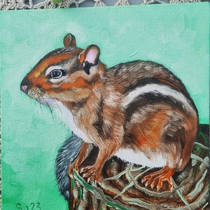 Pintura a óleo de esquilo original pintada à mão em papelão, animal em miniatura, mini arte animal, pintura de animal, decoração de parede 15 x 15 cm nº 125