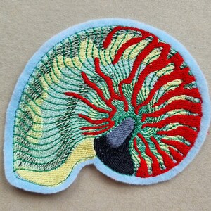Könnte beinhalten: Gestickter Aufnäher mit einem Nautilus-Muscheldesign. Der Aufnäher hat einen hellblauen Rand, wobei die Muschel einen Farbverlauf aus Grün, Gelb und Rot aufweist. Das Innere der Muschel hat einen schwarzen und grauen Bereich.