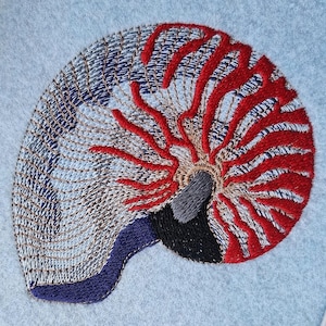 Könnte beinhalten: Gesticktes Nautilus-Muscheldesign in Rot, Blau, Grau und Schwarz. Das Kunstwerk weist aufwendige Stiche auf, die einen strukturierten Effekt erzeugen. Die Muschel ist vor einem hellblauen Hintergrund platziert, der die Handwerkskunst zeigt.