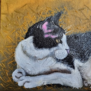 Peinture à l'huile de chat originale peinte à la main peinture pour animaux de compagnie animal sauvage miniature mini peinture animale peinture de chat art peinture de matou carton n° 153