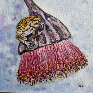 Pintura a óleo de sapo eucalipto flor de eucalipto pintura a óleo original pintada à mão, pintura em miniatura fundo azul anfíbios 15 x 15 cm No. 145