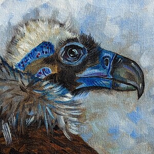 Pintura a óleo de abutre original pintada à mão pintura a óleo pássaro de rapina em miniatura mini arte animal natureza 15 x 15 cm nº 50
