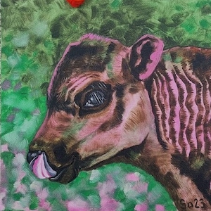 Pintura a óleo de vaca original pintada à mão em papelão, pintura de vaca, bezerro, vaca, pintura de touro, animal, vida selvagem, fazenda, casa de campo, arte animal 20 x 20 No. 118