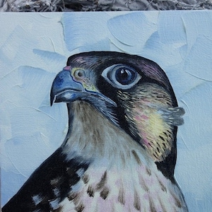 Halcón pintura al óleo original pintada a mano, óleo sobre carpeta de pintura del artista, cartón de pintura pintura pájaro ave rapaz 15 x 15 cm No. 105