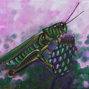 Pintura a óleo de gafanhoto, pintura a óleo original pintada à mão, óleo sobre portfólios de pinturas de artistas, pintura de flores, cardo, espinhos, insetos, jardim, 15 x 15 cm, nº 60