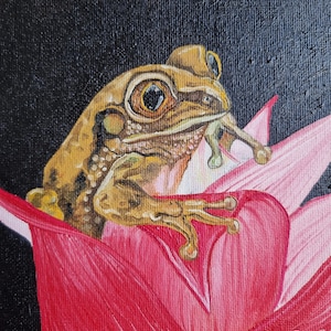 Rana pintura al óleo original pintada a mano pintura al óleo cartón pintura miniatura anfibios fondo negro 15 x 15 cm No. 143