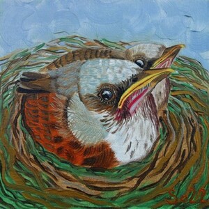 Ninho Pintinho Pintura A Óleo Original Pintado À Mão Pintura Em Papelão Pássaro Arte Animal Em Miniatura Mini Pintura Em Miniatura Natureza 15 x 15 cm No.