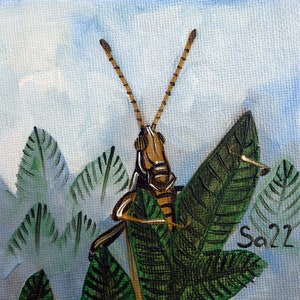 Pintura al óleo de saltamontes, pintura al óleo original pintada a mano, óleo sobre lienzo, portafolios de pintura del artista, pintura de plantas, bosque, insectos, jardín, 10 x 10 cm, n.° 86