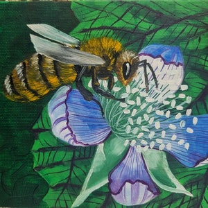Abelha Amora Pintura a Óleo Original Pintada à Mão Flor Inseto Jardim Arte Animal Decoração de Parede Abelha Natureza 13 x 18 cm Nº 114