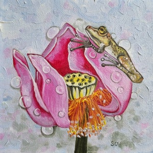 Pintura a óleo de sapo flor de lótus original pintada à mão pintura a óleo, pintura em miniatura fundo azul anfíbio orvalho sapo pintura 15 x 15 cm No. 146