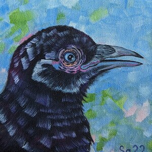 Magpie Pintura A Óleo Original Pintado À Mão Mini Arte Em Miniatura Arte Animal Natureza Amante Da Natureza Amante De Pássaros Pintura Pássaro 15 x 15 cm No.