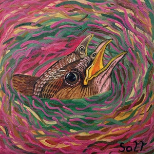Ninho Pintinho Pintura A Óleo Original Pintado À Mão Ninho De Pássaro Em Miniatura Mini Pintura Arte Animal Pássaro Retrato Arte Natural Pássaro 15 x 15 cm No.
