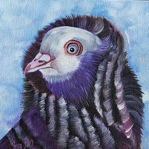 Pintura a óleo de pombo pintura original pintada à mão pomba pássaro em miniatura mini pintura da natureza retrato de pássaro presente de amante da natureza 15 x 15 cm No.