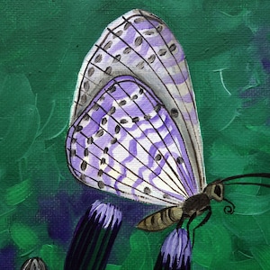 Pintura a óleo de borboleta cardo original pintada à mão em miniatura mini natureza jardim decoração de parede pintura decoração de jardim de flores 13 x 18 cm n.º 37