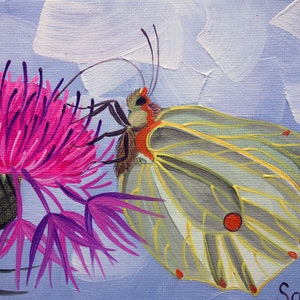 Pintura al óleo cardo mariposa original pintada a mano pintura al óleo arte pintura insecto pintura cartón pintura jardín de flores 13 x 18 cm No. 42