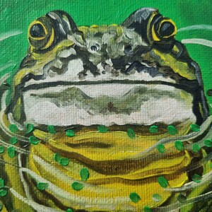 Pintura a óleo sapo original pintado à mão pintura a óleo óleo sobre papelão pintura lagoa anfíbios natureza miniatura reflexo na água 13 x 18 cm No. 170