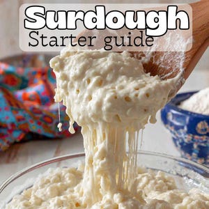May include: A clear glass bowl filled with a bubbling, off-white sourdough starter. A wooden spoon lifts a portion of the starter, with strands of the mixture hanging down. Text reads "Sourdough Starter guide" and "Start Your Own Living Sourdough Starter at Home!"