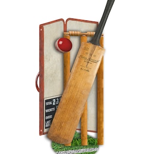 3D-sportwenskaart cricket