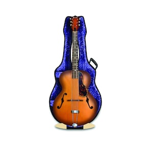 Akoestische Archtop Sunburst Guitar 3D-muziekwenskaart