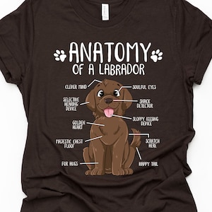 Unisex Anatomy Chocolate Labrador T-Shirt, Funny Labrador Retriever Gift, Labrador Lover Gift, Dog Mom Shirt Lab Print Tee Shirt Adults Kids