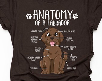 Unisex Anatomy Chocolate Labrador T-Shirt, Funny Labrador Retriever Gift, Labrador Lover Gift, Dog Mom Shirt Lab Print Tee Shirt Adults Kids