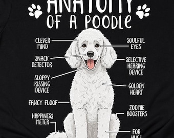 Funny Poodle T-Shirt Anatomy of a Poodle Shirt Standard Poodle Lover Gift Miniature Poodle Mom Dad Dog Owner Tee Adults Kids Hoodie Sweater
