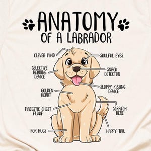 Anatomy Labrador T-Shirt Funny Labrador Retriever Gift Labrador Lover Gift Labrador Dog Mom Shirt Lab Print Tee Shirt Adults Kids