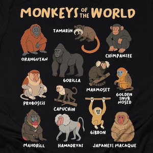 Pode incluir: Camiseta preta com um gráfico de diferentes tipos de macacos, etiquetados com seus nomes, incluindo orangotango, tamarino, chimpanzé, gorila, sagui, macaco de nariz dourado, macaco narigudo, capuchinho, gibão, mandril, hamadryas e macaco japonês. O texto diz "Macacos do mundo".