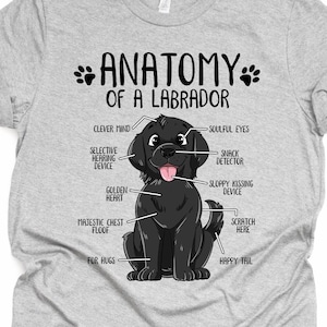 Unisex Anatomy Black Labrador T-Shirt, Funny Labrador Retriever Gift, Labrador Lover Gift, Dog Mom Shirt Lab Print Tee Shirt Adults Kids