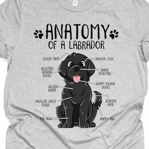Unisex anatomie zwarte labrador T-shirt, grappige labrador retriever cadeau, labrador minnaar cadeau, hond moeder shirt Lab print tee shirt volwassenen kinderen