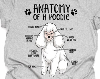 Funny Poodle Gift, Unisex Anatomy Poodle T-Shirt, Poodle Dog Lover Gift, Poodle Mom Shirt, Funny Standard Poodle Print Tee Shirt Adults Kids