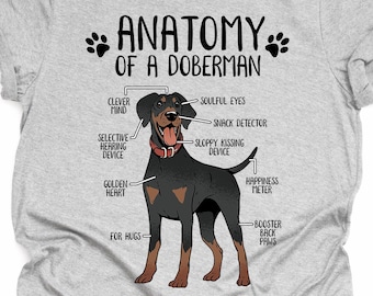 May include: A gray t-shirt with a black and brown Doberman Pinscher illustration. The illustration is labeled with humorous anatomical features, such as "Clever Mind", "Soulful Eyes", "Snack Detector", "Happiness Meter", and "Booster Back Paws". The text "Anatomy of a Doberman" is at the top of the illustration.