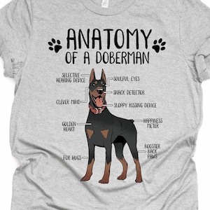 Funny Doberman Gift Unisex Anatomy Doberman T-Shirt Doberman Pinscher Dog Lover Dog Mom Shirt Funny Doberman Print Tee Shirt Adults Kids