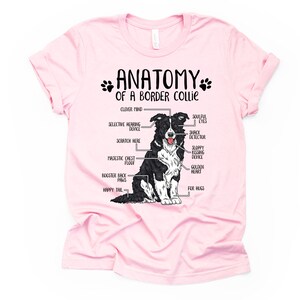 Cadeau drôle d'amant de chien de border collie, anatomie unisexe T-shirt de border collie chemise d'amant de border collie t-shirt imprimé de border collie adultes enfants Pink