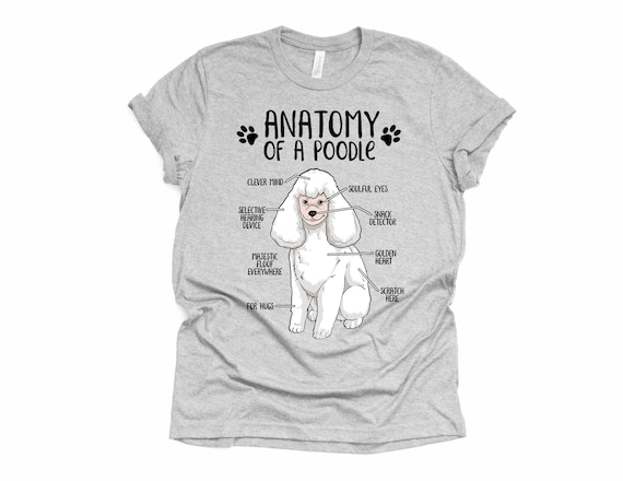Womens Funny Standard-Black-Poodle Mom Gifts Every Snack You Make T-Shirt Womens Funny Standard-Black-Poodle Mom Gifts Every Snack You Make T-Shirt