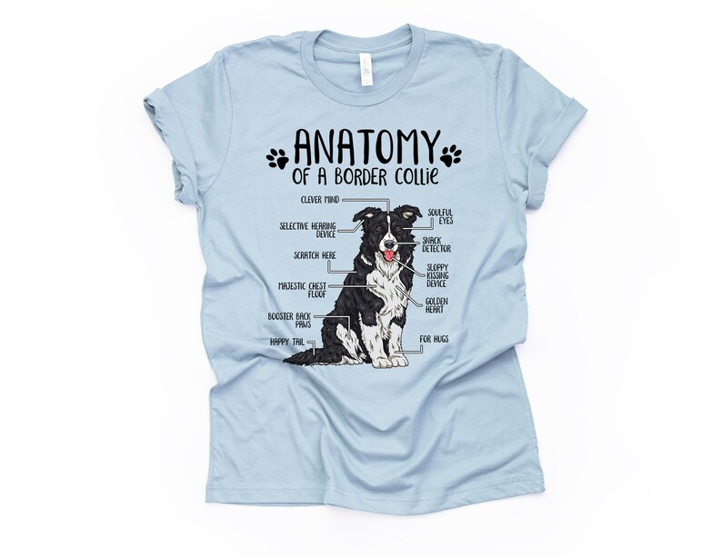 Cadeau drôle d'amant de chien de border collie, anatomie unisexe T-shirt de border collie chemise d'amant de border collie t-shirt imprimé de border collie adultes enfants Light Blue