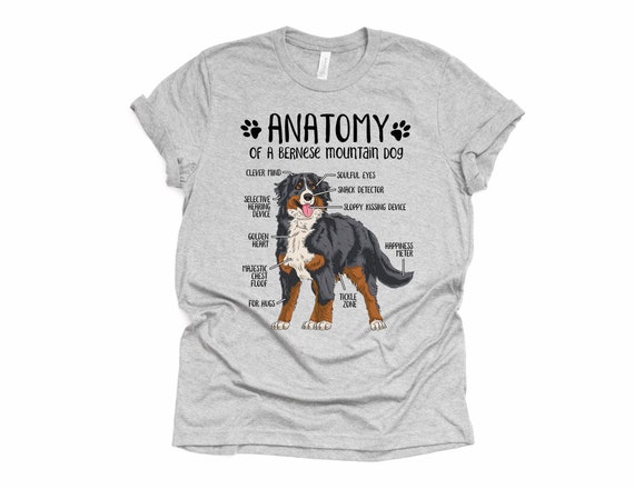 The Anatomy Of A Bernese Mountain Dog Shirt The Anatomy Of A Bernese Mountain Dog Shirt
