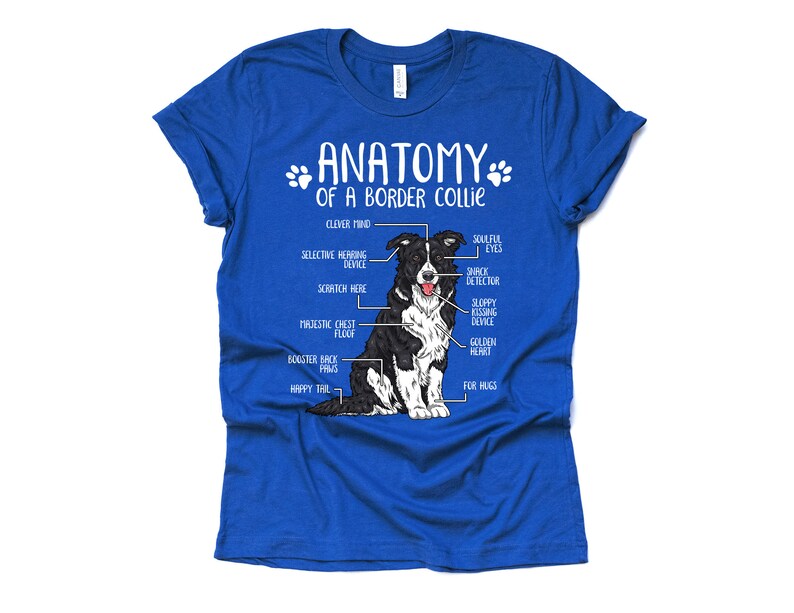 Cadeau drôle d'amant de chien de border collie, anatomie unisexe T-shirt de border collie chemise d'amant de border collie t-shirt imprimé de border collie adultes enfants True Royal