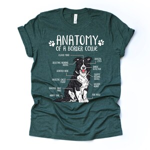 Cadeau drôle d'amant de chien de border collie, anatomie unisexe T-shirt de border collie chemise d'amant de border collie t-shirt imprimé de border collie adultes enfants Heather Forest