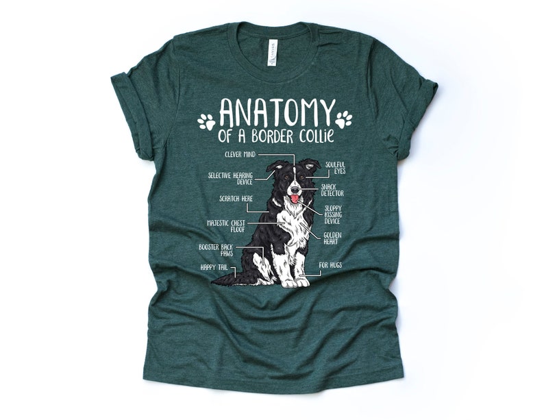 Cadeau drôle d'amant de chien de border collie, anatomie unisexe T-shirt de border collie chemise d'amant de border collie t-shirt imprimé de border collie adultes enfants Heather Forest