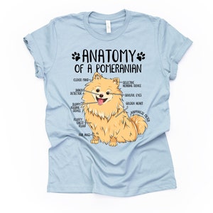Op de afbeelding: Een lichtblauw T-shirt met een cartoon Pomeranian-hond en de tekst "Anatomie van een Pomeranian". De hond is gelabeld met humoristische anatomische kenmerken zoals "Slimme geest", "Snack-detector", "Slordige kusapparaat", "Pluche borstpluis" en "Voor knuffels".
