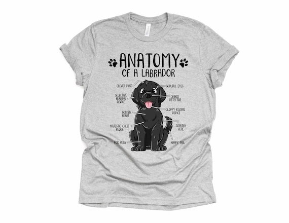 Anatomy Of A Newfoundland Dogs T Shirt Funny Gift Anatomy Of A Newfoundland Dogs T Shirt Funny Gift