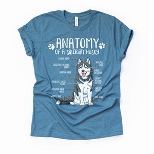 Funny Siberian Husky Gift Unisex Anatomy Siberian Husky T-Shirt Husky Dog Lover Gift Husky Mom Shirt Funny Husky Print Tee Shirt Adults Kids Heather Deep Teal