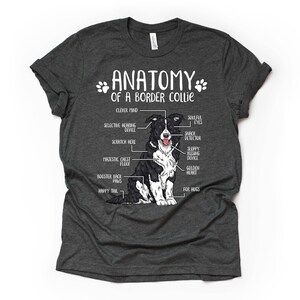Cadeau drôle d'amant de chien de border collie, anatomie unisexe T-shirt de border collie chemise d'amant de border collie t-shirt imprimé de border collie adultes enfants Dark Grey Heather