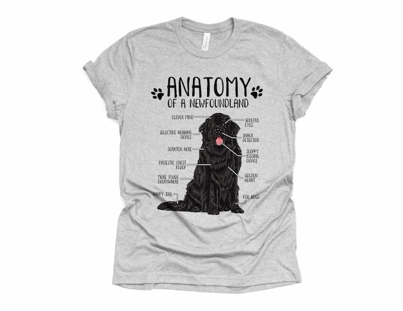 Anatomy Of A Newfoundland Dogs T Shirt Funny Gift Anatomy Of A Newfoundland Dogs T Shirt Funny Gift