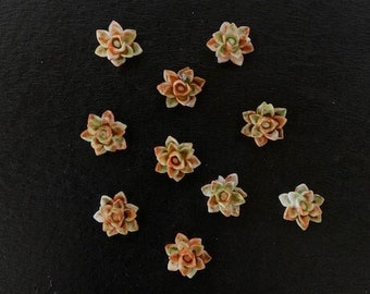 10 olive & rust flower cabochons, flower cabochon, flower cabachon, flower flat, cabochon flowers, resin flowers, small flower, flower charm