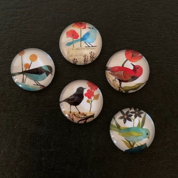 5 assorted bird art flats, bird art, bird cabochon, bird art set, bird prints, bird crafts, glass cabochon, 20mm cabochon, card making, bird