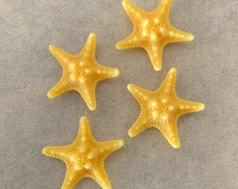 4 starfish flatbacks, starfish flatbacks, starfish cabochon, cabochon starfish, beach flats, ocean flatbacks, starfish for crafts, starfish