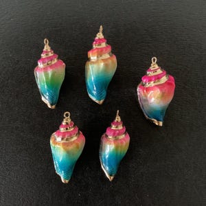 May include: Five colorful seashell pendants with gold-colored accents. The shells feature a gradient of colors, including pink, yellow, green, and blue. Each shell has a loop at the top for attaching to a chain or other jewelry.